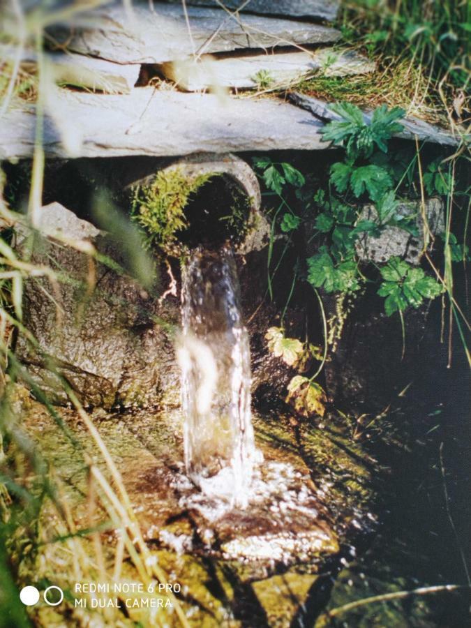 ReSource Διαμέρισμα Le Chambon-sur-Lignon Εξωτερικό φωτογραφία