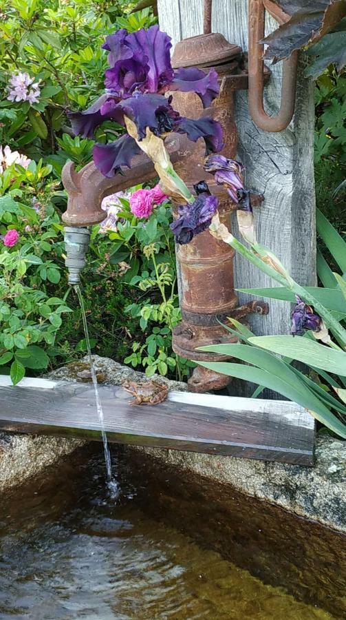ReSource Διαμέρισμα Le Chambon-sur-Lignon Εξωτερικό φωτογραφία